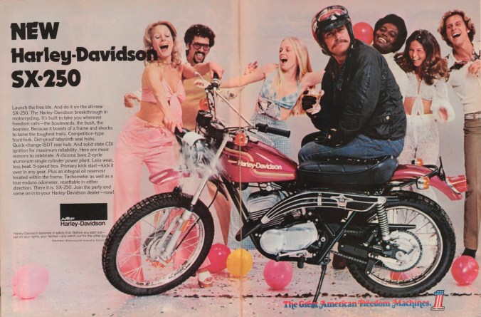 Harley-Davidson_Aermacchi-SX250_1973_SIDEBURN