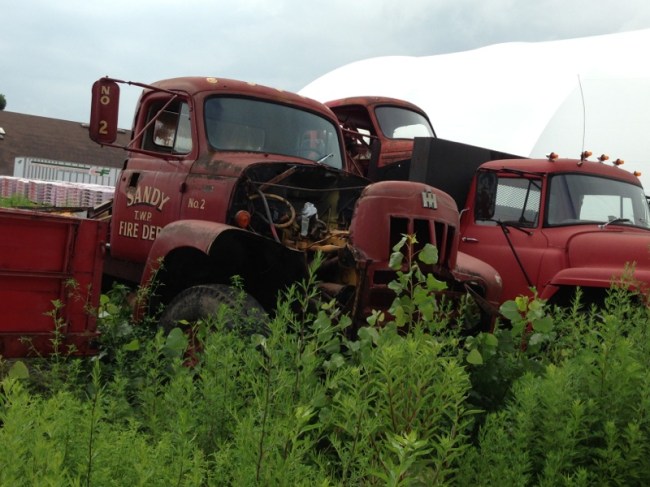 Out back of my Office in Barberton, Ohio Image